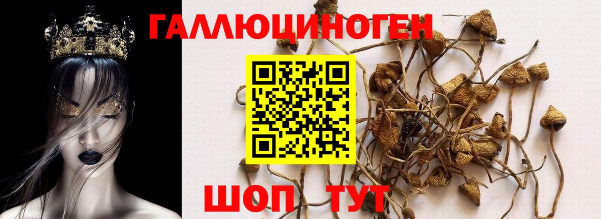 Псилоцибиновые грибы Magic Shrooms Нарткала